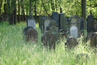 Judenfriedhof 02