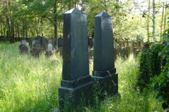 Judenfriedhof 04