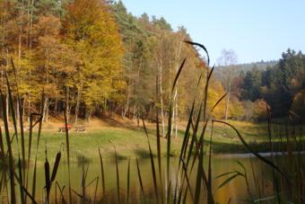 Waldsee-Buttenbrunn_01 Waldsee-Buttenbrunn_01