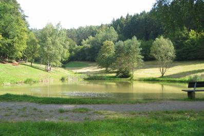 Waldsee-Buttenbrunn_02 Waldsee-Buttenbrunn_02